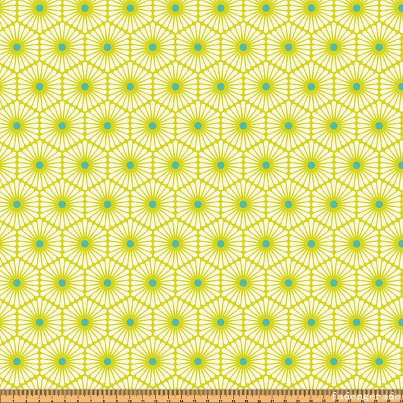 Daisy Chain in Clover