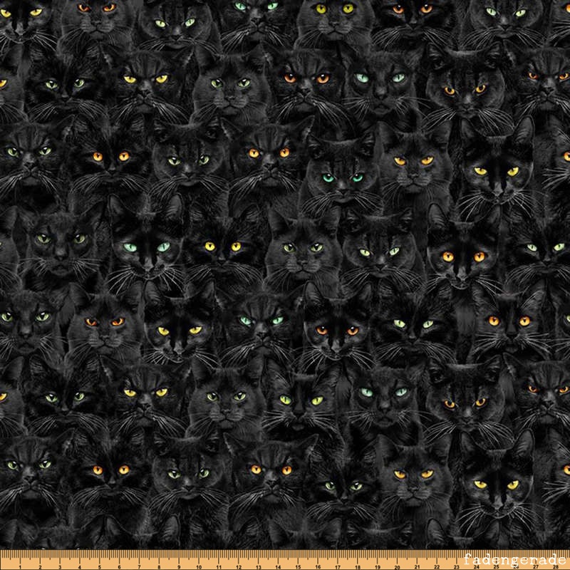 Black Cats Magic