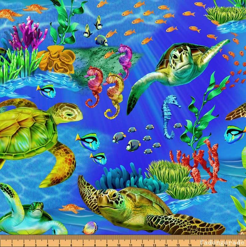 Ocean Sea Turtles