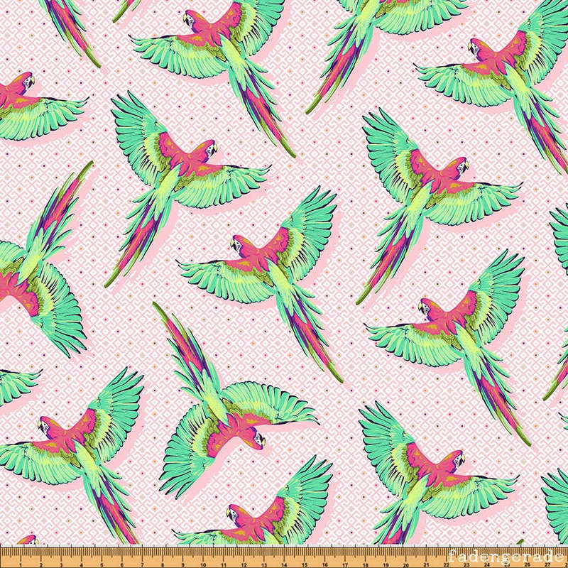 Macaw Ya Later in Dragonfruit