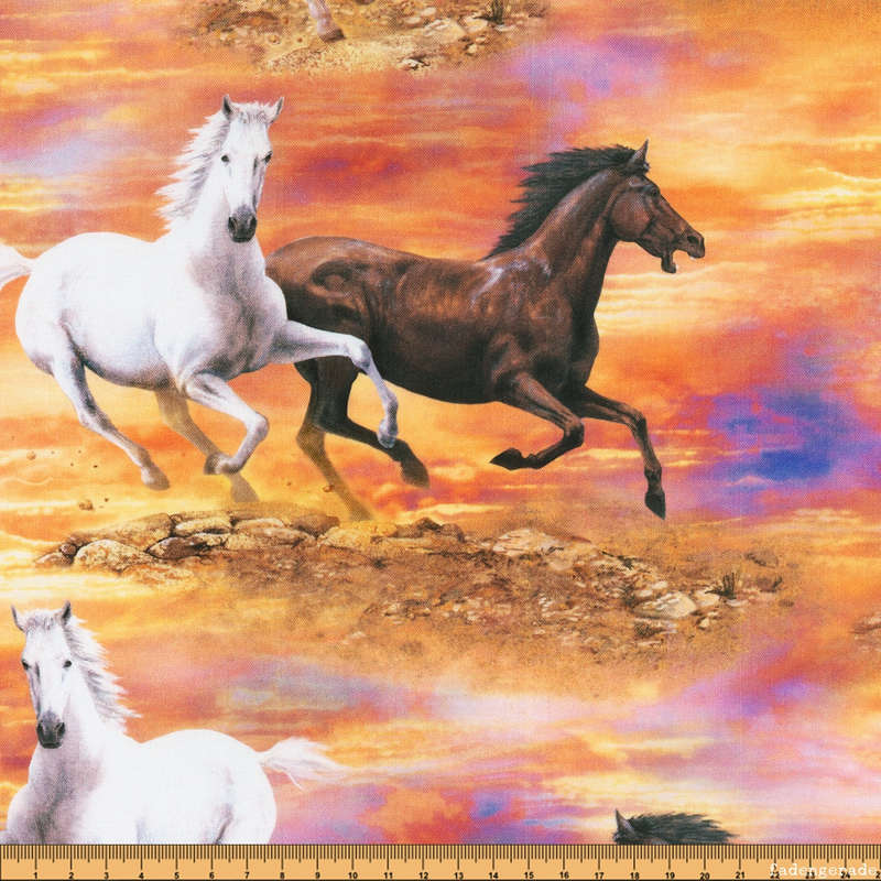 Wild Horses