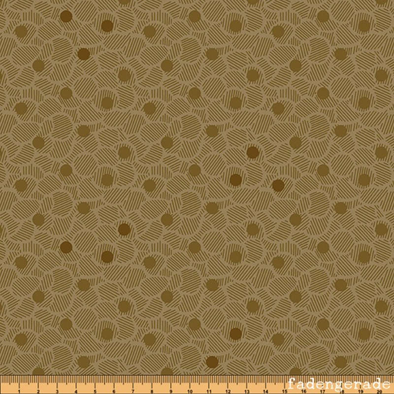 Nucleoid in Puddy
