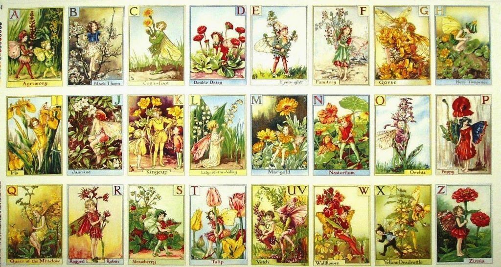 Multi Flower Fairies Alphabet Panel