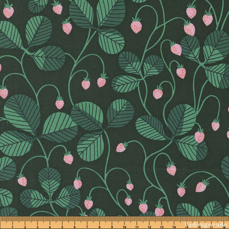 Strawberry Vines in Hunter